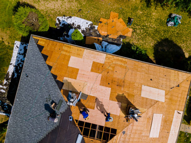 Best Flat Roof Repair Services  in North Weeki Wachee, FL