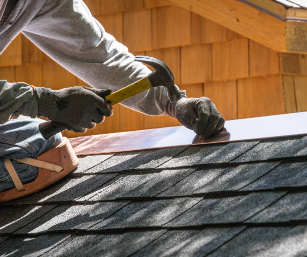 Best Roof Gutter Cleaning  in North Weeki Wachee, FL